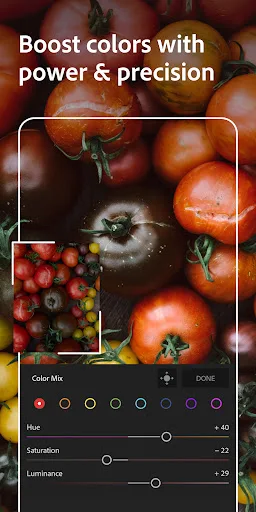 Adobe-Lightroom-mod-apk-premiummodeapk.com-12